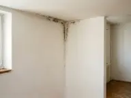 Mucegai pe muchiile colțului dintre pereții exteriori și tavan